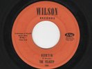 Psych Garage - THE FELICITY - Wilson 101 - Hurtin / I'll Try It - Don Henley