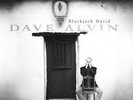Dave Alvin / Blackjack David / MFSL / OUT OF PRINT, mega rar