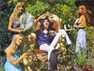 PETER BARDENS The Answer 1st UK Pressing. TRA 222 ** RARE ** LP