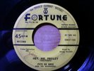 Elvis 45 rpm Pete De Bree & The Wanderers 