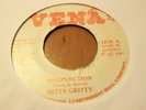 Nitty Gritty Malfunction Rare Digi Roots 7