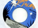 THE POWER OF ATTORNEY BAND - 7
