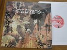 Five Day Rain  S/t  PROG PSYCH UK re 1993 LP