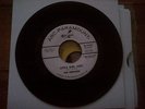 Little Girl Lost - The Shepards - ABC Label - Demo - Mint