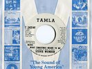 STEVIE WONDER WHAT CHRISTMAS MEANS TO ME 1967 MOTOWN NORTHERN SOUL WLP 45 ?