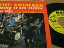 THE ANIMALS 