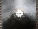 GUIDED BY VOICES GBV 