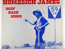 Homesick James 