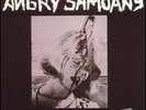 The Angry Samoans - Inside My Brain LP Bad Trip BT 201 first press