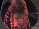 Led Zeppelin Live In Central Park Picture Disc Vinyl Record LP RARE Robert Plant