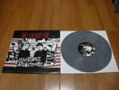 THE LIVING END /MODERN ARTILLERY grey vinyl LP free shiping 12 SUM 41 BLINK-182