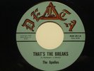 FALLS CHURCH, VA GARAGE BAND - RARE 45RPM RECORD - THE APOLLOS - DELTA 183