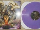 PROTEST THE HERO (LP /300) FORTRESS Dillinger Escape Plan Fall of Troy Periphery