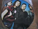 MUDHONEY / EVERY GOOD BOY / PICTURE LP / PROMO EDITION / SUB POP / NIRVANA / TAD