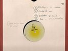 ORIG DUBPLATE( ACATATE) . GEORGE NOOKS
