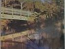 RIVER SAINT: Same 1977 Private Press Country Rock LP Gary Vandy Producer RARE