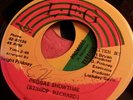 Rare Digi Killer Dancehall Bishop Richard Reggae Showtime 45