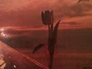 PRETTY THINGS Parachute 1970 (RARE Vinyl Album)