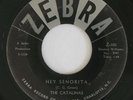 Doo Wop 45 CATALINAS Hey Senorita / Hey Little Girl on Zebra NM