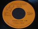 Tickits   Goodbye Babe / Hold On   Numark   obscure Detroit power pop 45 7