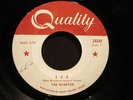 THE HAUNTED 60'S CANADIAN GARAGE BAND 45 / 1-2-5