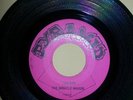 Rare Garage Rock Pyramid Records