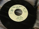 CASEY CLARK Lost John SAGE & SAND Orig 45 Hillbilly Rockabilly Bopper HEAR