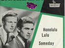 JAN & DEAN - Honolulu Lulu/ Someday Rare '63 HOLLAND 7