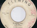 FLEMING ROCKABILLY BOPPERS - GEORGE FLEMING - IM GONNA TELL / THE SHAKE HEAR
