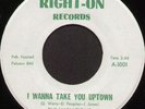 Rare 60's Northern Soul 45 - THE VARIATIONS (Right-On)   *Listen*