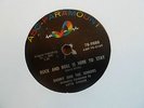 Danny & The Juniors - Rock & Roll Is Here To Stay non-repro US 78 ABC 9888