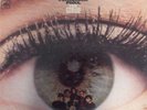 FREAK SCENE PYCHEDELIC PSOUL 60'S PSYCH ORIGINAL US RARE STEREO PRESSING LP