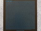 Shellac - The Futurist/Friends Only LP Rare