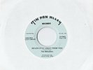 MELODIERS Never Stay Away 45 FL private unknown powerpop song poem DIY fuzz