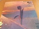 PRETTY THINGS PARACHUTE RARE BRITISH IMPORT IST PRESS PROG PSYCH LP EMI HARVEST