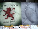 Enter Shikari - Common Dreads- LP-NM- 2009