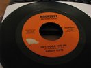 Rare sister funk / deep soul Sandy Gaye on Moonshot