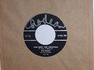 TED DAIGLE.  NEW BABY FOR CHRISTMAS  /  BLUE CHRISTMAS. LOOKS VG++ BUT. 45