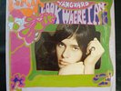 ERIK (HELLER) Look Where I Am LP Original 1968 on VANGUARD Psych FOLK NM SHRINK