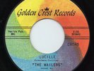 THE WAILERS -LUCILLE- LITTLE RICHARD 45 ON GOLDEN CREST LABLE HEAR IT LISTEN