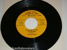 1966 BOB SEGER THE BEACH BUMS Garage 45 Ballad of the Yellow Beret, Florida Time