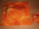 AND YOU WILL KNOW US BY THE TRAIL OF DEAD Source Tags & Codes LP vinyl