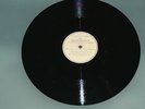 Quarrymen ( The Beatles ) In spite of all the danger / That'll be the day