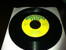 Widespread Panic Coconut Image/Monkey Image 45 MINT