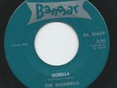 PRIVATE 1964 WI Garage Punk 45 - THE SHANDELLS 