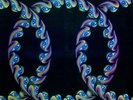 TOOL Lateralus Vinyl LP picture disc Isis Puscifer A Perfect Circle