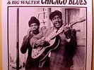 JOHNNY YOUNG & BIG WALTER - Chicago Blues - '68 Arhoolie label blues LP - shrink