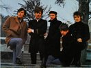 THE HOLLIES “EVOLUTION“ LP * RAR