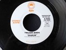 GASOLIN'  Twilight Birds MINT scarce promo non-lp '76 prog psych rock dj 45 orig