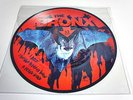 THE BRONX - PICTURE DISC-LP/Vinyl/Record